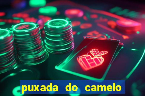 puxada do camelo no jogo do bicho